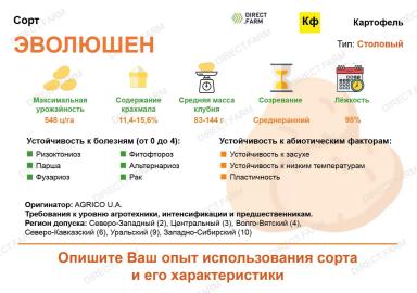 Эволюшен (EVOLUTION) картофель