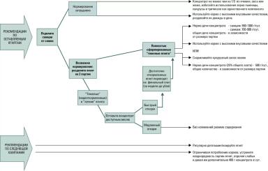 Дюдэ – Овцеводство. Гл. 14, 15-1. Типы продукции. Пастбищное выращивание ягнят