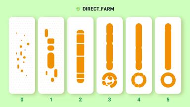Определение гранулометрического состава почвы