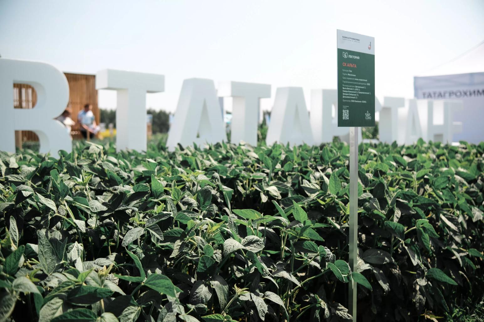 Как растет соя в Татарстане? Покажем и расскажем на "Агроволге"    • 65