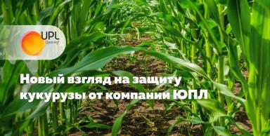 Новый взгляд на защиту кукурузы от компании ЮПЛ