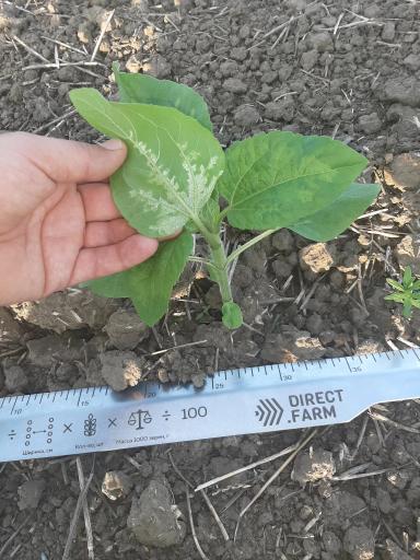 Агромониторинг 