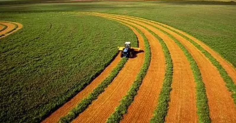 В малое и среднее предпринимательство на селе вовлекут свыше 13 тысяч человек