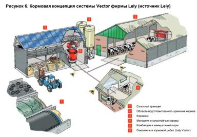 Системы автоматического кормления для КРС. Часть 1