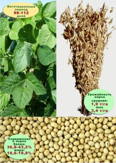 Белгородская 48