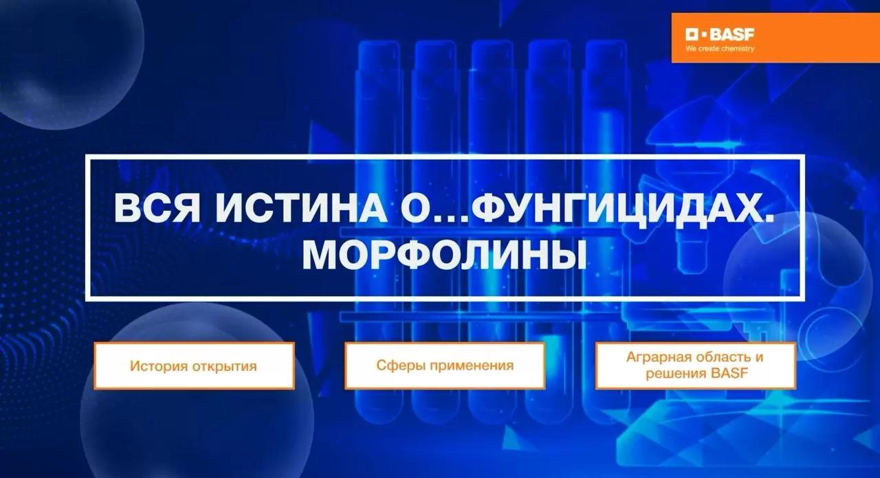 Вся истина о фунгицидах: Морфолины