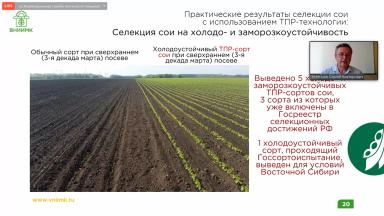 Селекция и семеноводство выращивания сои в РФ