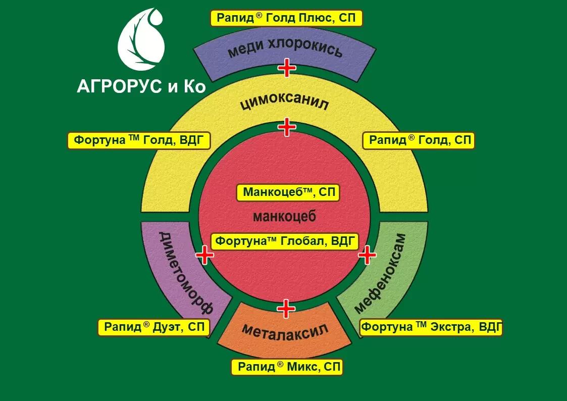 Препараты серии РАПИД и ФОРТУНА от Агрорус и Ко