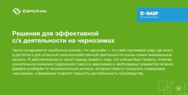 5 декабря — Всемирный день почв