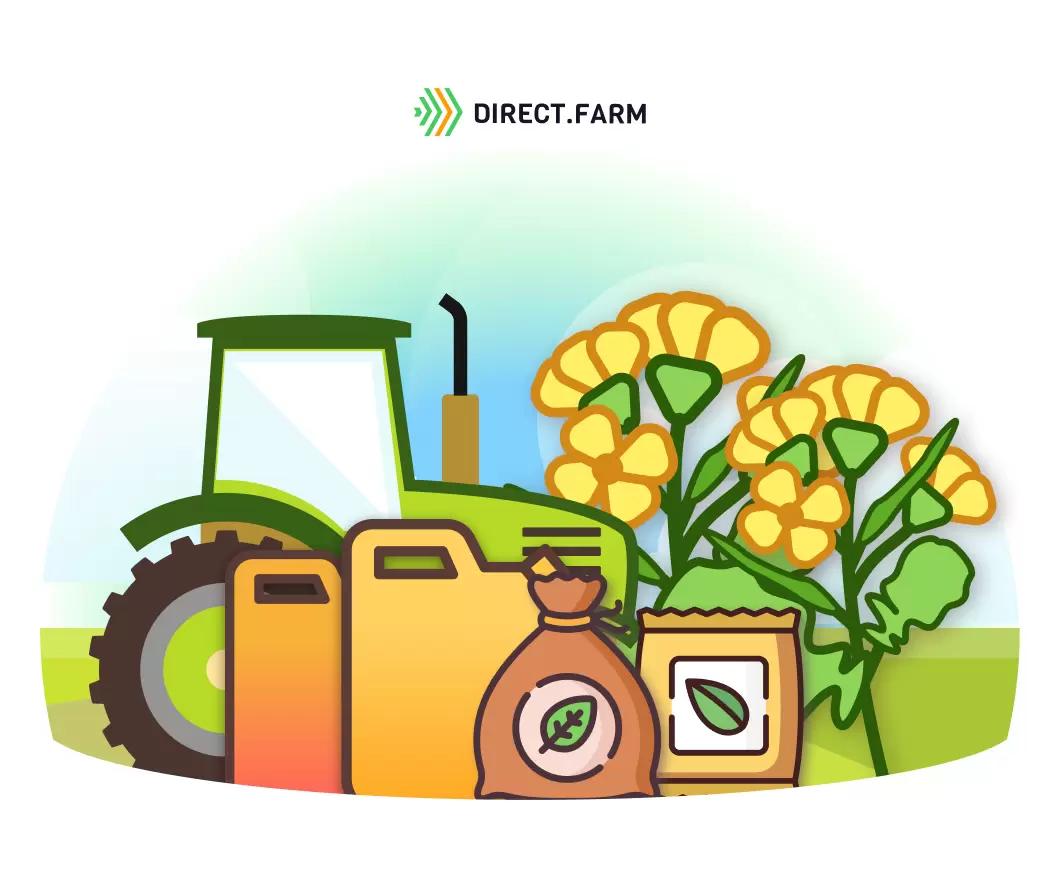 Технология возделывания озимого рапса