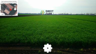 Дискование, вспашка, ноу тилл