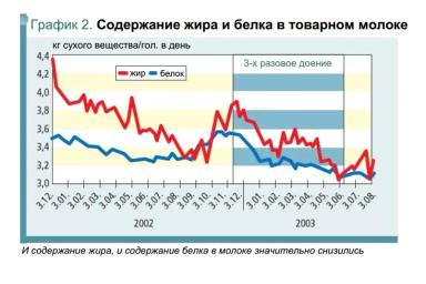Трехразовое доение коров. Стоит ли?