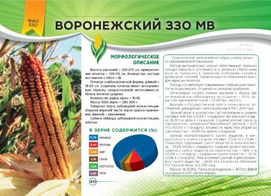 Воронежский 330 МВ
