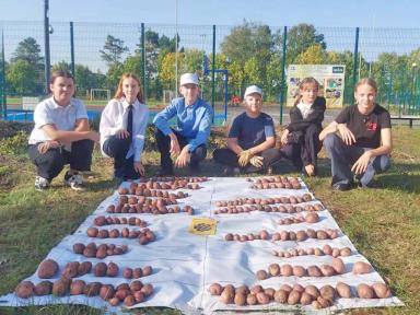 Названы финалисты «Картофельного БУМа»!