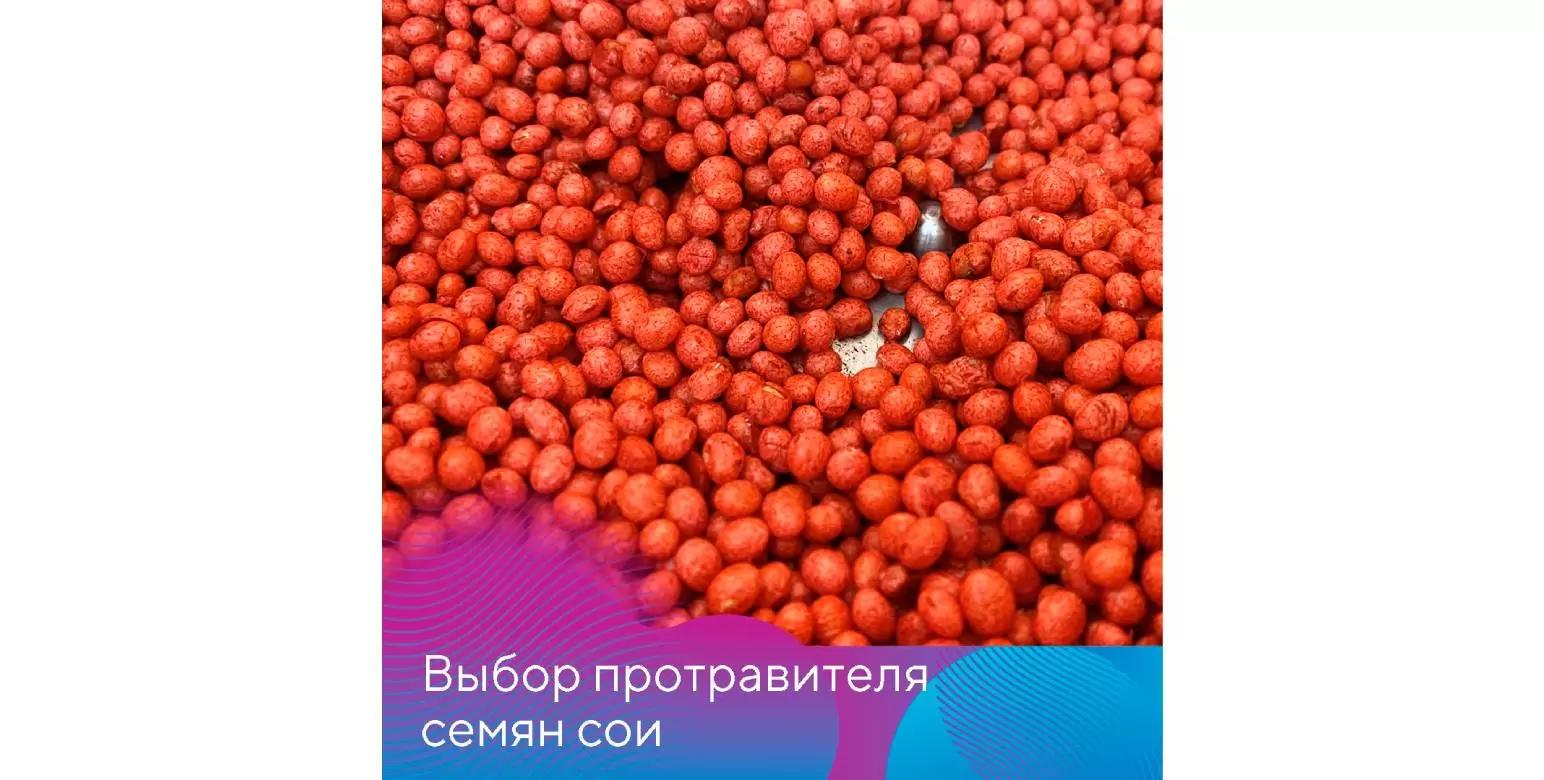 Выбор протравителя семян сои