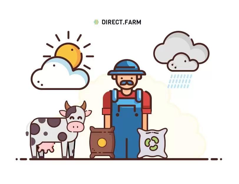 Определение сухого вещества в кормах