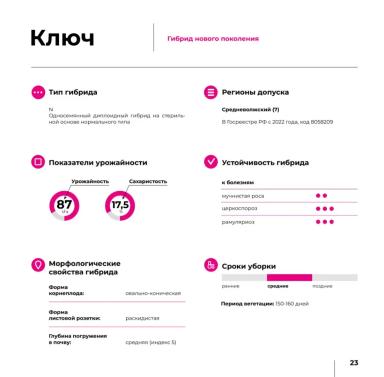Ключ
