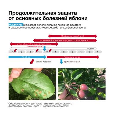 СЕРКАДИС® ПЛЮС: высокая эффективность защиты садов от парши и мучнистой росы
