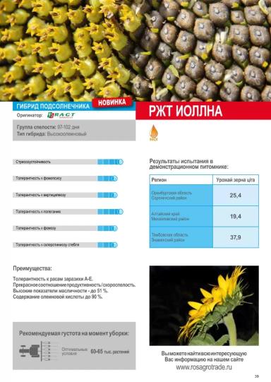 Иоллна