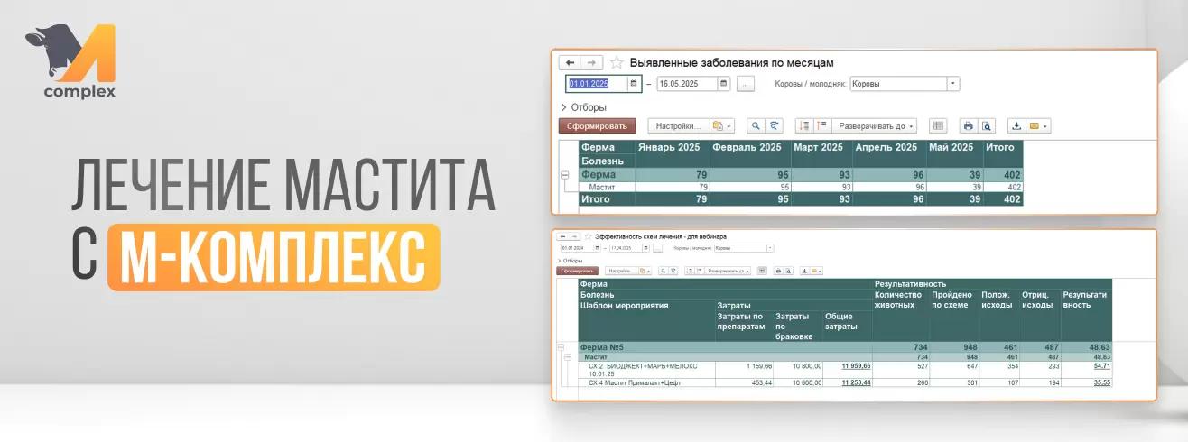 Лечение мастита