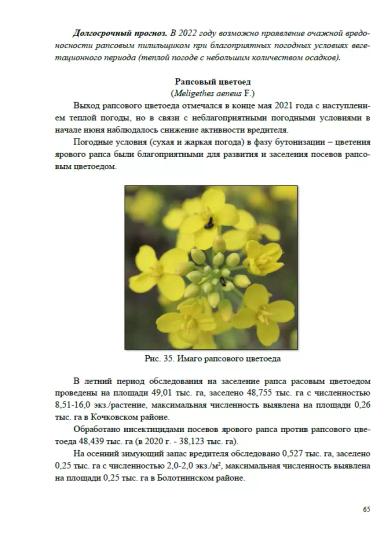 Обзор фитосанитарного состояния Новосибирской области и прогноз на 2022 год