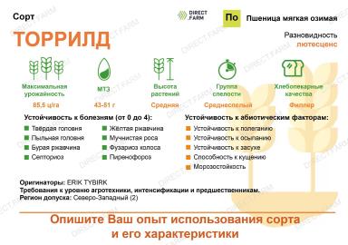 Торрилд сорт пшеницы мягкой озимой