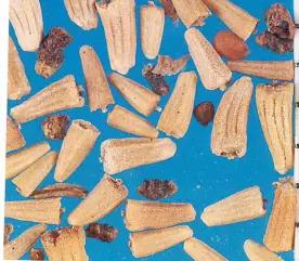 Пупавка полевая