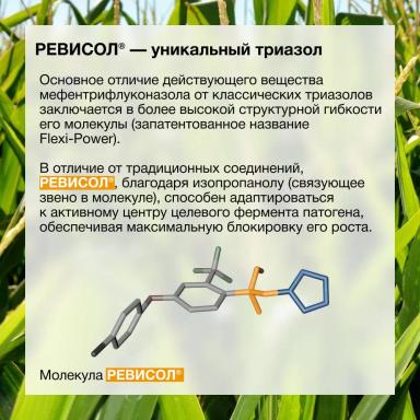 Первые результаты применения фунгицида РЕВИОНА®