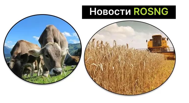 Дайджест за 19 июня