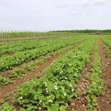 Партнеры об «Августе»