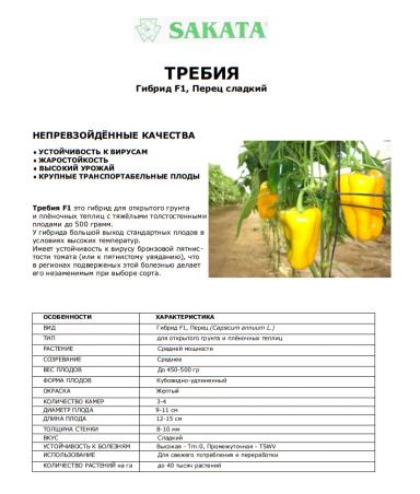 Требия F1 (TREBBIA)