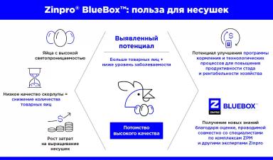 Уникальный прибор для объективной оценки светопроницаемости яичной скорлупы