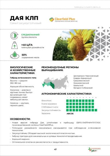 Дая КЛП гибрид подсолнечника