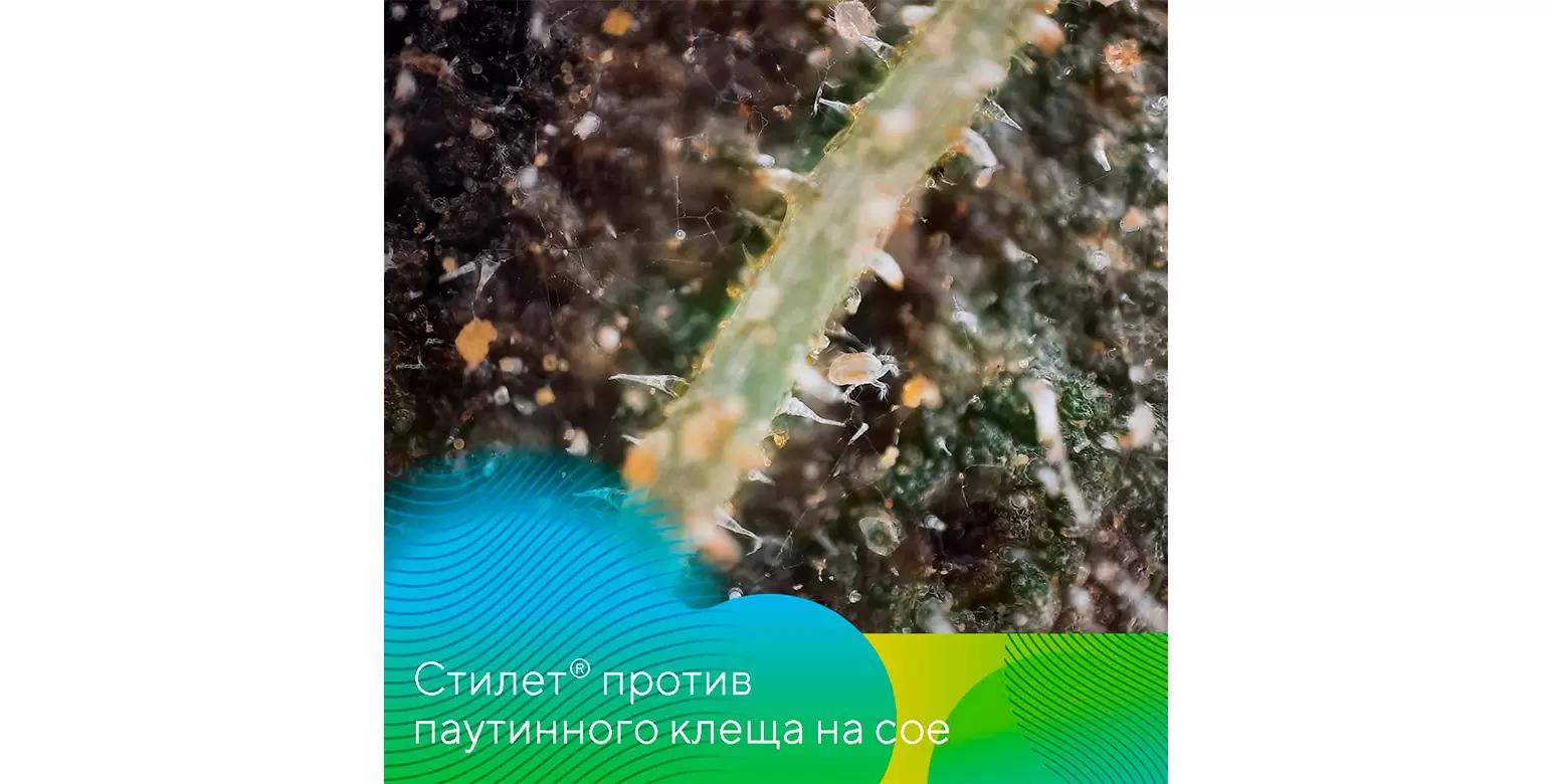 Стилет® против паутинного клеща на сое