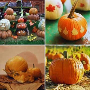 Тыква: от плодородия полей до красивого декора 🎃🍂