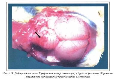 Вегад - Атлас болезней птицы. Ч. 21, 22. Дефициты витаминов А, Е