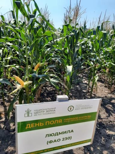 ЛЮДМИЛА