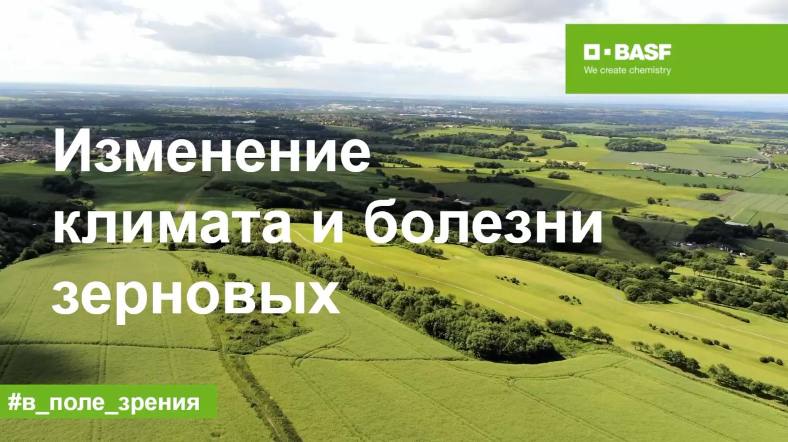 Новый выпуск подкаста «В поле зрения»
