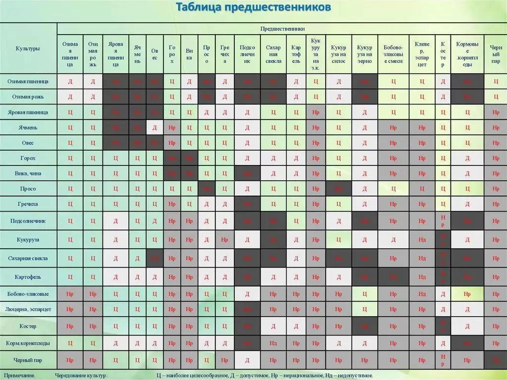 Правильная ли таблица по севообороту?