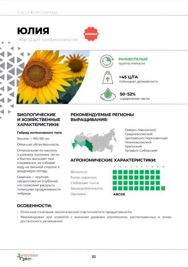 Юлия гибрид подсолнечника
