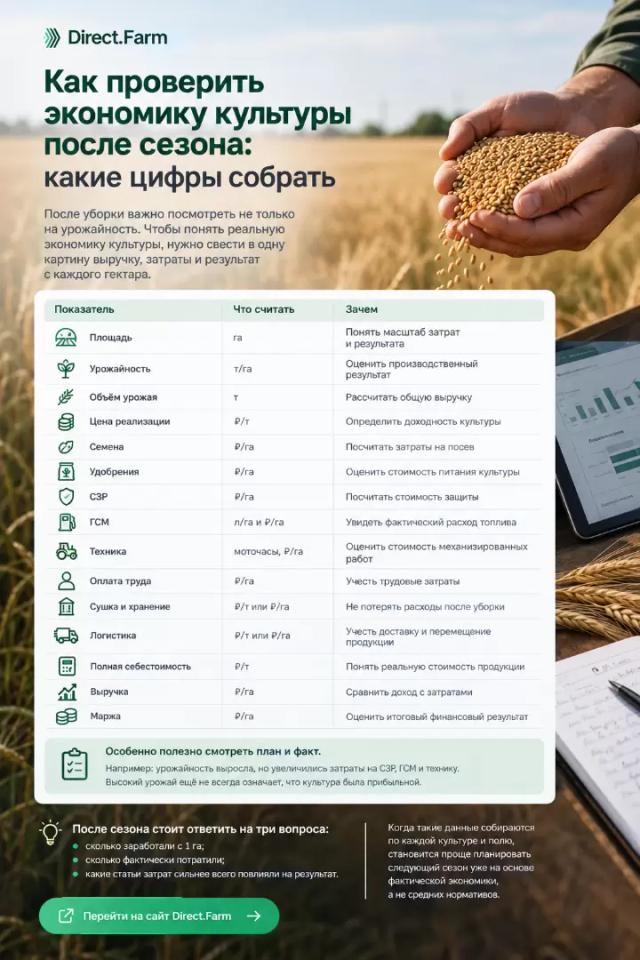 Как проверить экономику культуры после сезона: какие цифры собрать