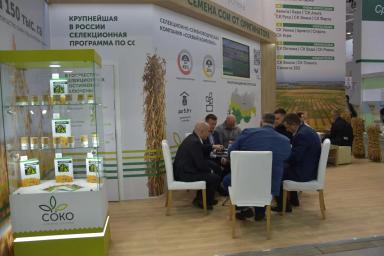ТОЧКИ РОСТА И РЕЗЕРВЫ В УВЕЛИЧЕНИИ ПРОИЗВОДСТВА СОИ В РОССИИ
