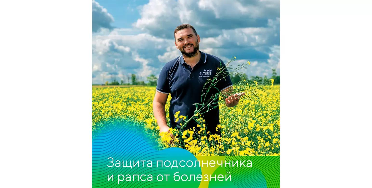 Подсолнечник и рапс под надежной защитой