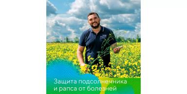 Подсолнечник и рапс под надежной защитой