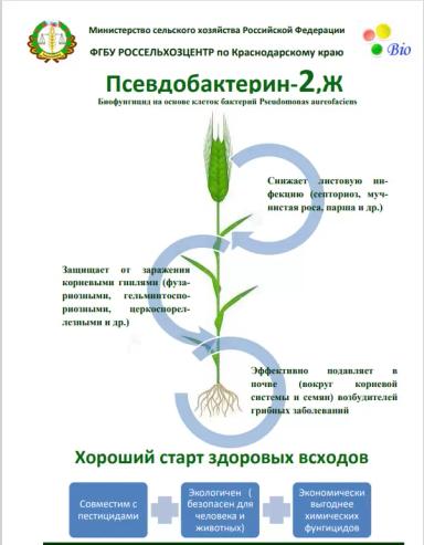 Псевдобактерин-2, Ж