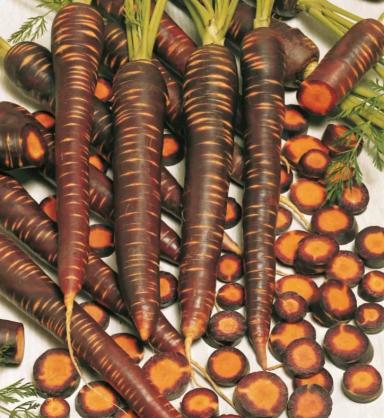 Пёрпл Хейз F1 (PURPLE HAZE) (фиолетовая)