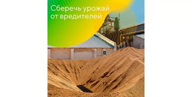 Принципы правильного хранения зерна