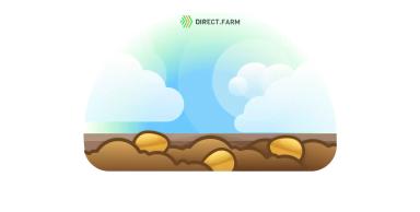 Расчет посевной площади по плану-заказу на семена элиты