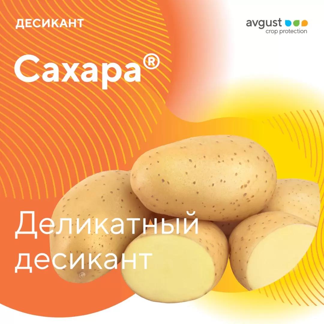 Сахара® — деликатный десикант