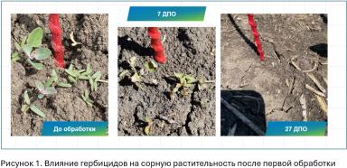 Долгосрочные инвестиции в чистоту полей по технологии КОНВИЗО® СМАРТ
